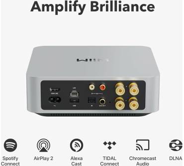 Produktbild WiiM Amp