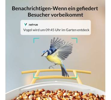 Produktbild Birdfy Feeder