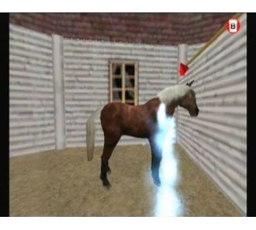 Produktbild My Horse Club - Auf der Spur der Appaloosas (für Wii)