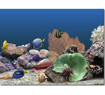 Produktbild SereneScreen Marine Aquarium 3