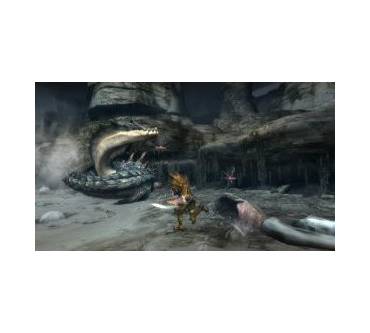 Produktbild Monster Hunter Tri (für Wii)