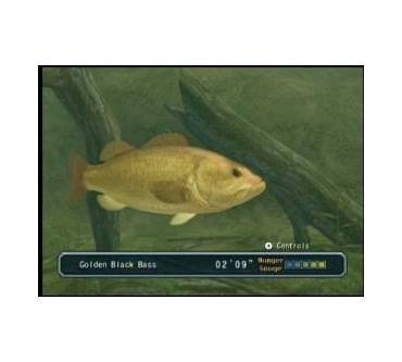 Produktbild Reel Fishing: Angler's Dream (für Wii)