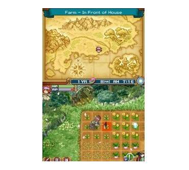 Produktbild Rune Factory 2: A Fantasy Harvest Moon (für DS)