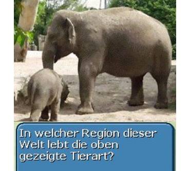 Produktbild Diercke Junior-Quiz Geographie (für DS)