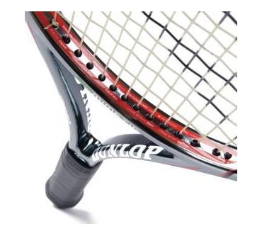 Produktbild Dunlop Sports Biomimetic 300 Tour