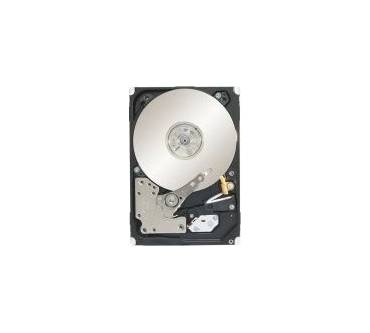 Produktbild Seagate Constellation 2 ST91000640NS (1 TB)