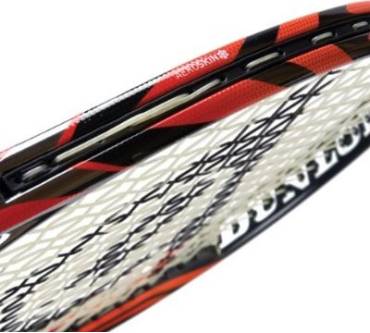 Produktbild Dunlop Sports Biomimetic 300