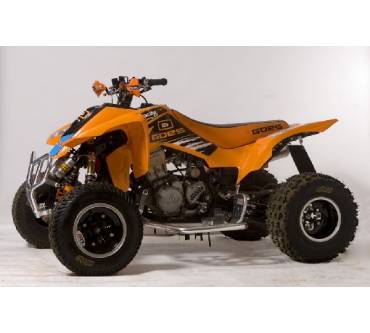 Produktbild Goes G450 X Supermoto 2WD (38 kW)