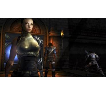 Produktbild Dungeon Siege 3