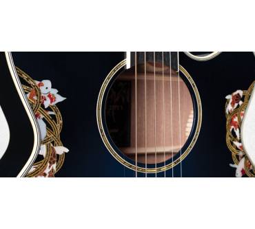 Produktbild Takamine 2011 Limited Edition