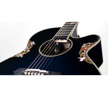 Produktbild Takamine 2011 Limited Edition