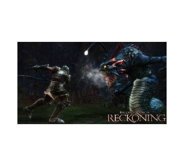 Produktbild Kingdoms of Amalur: Reckoning