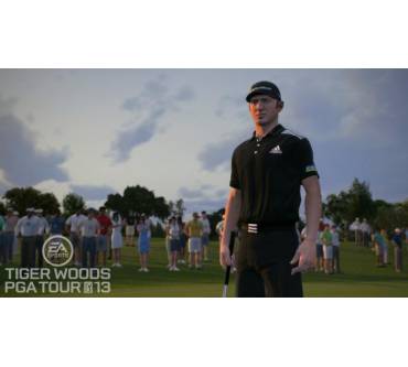 Produktbild Tiger Woods PGA Tour 2013