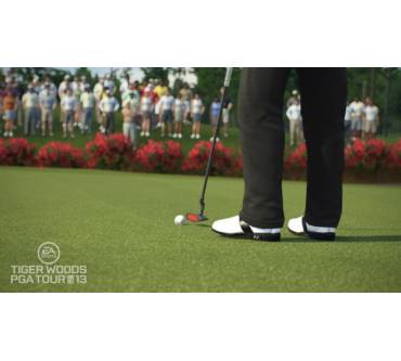 Produktbild Tiger Woods PGA Tour 2013