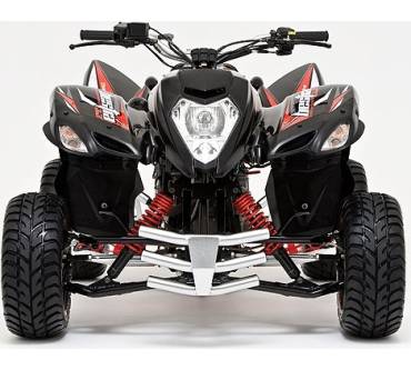 Produktbild Beeline Bestia 3.3 Supermoto (14 kW)