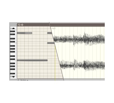 Produktbild Ohmforce Ohm Studio