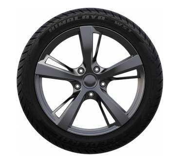 Produktbild Federal Himalaya WS-1; 205/55 R16 H