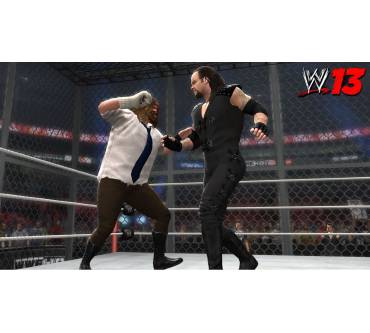 Produktbild WWE '13