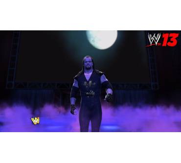 Produktbild WWE '13