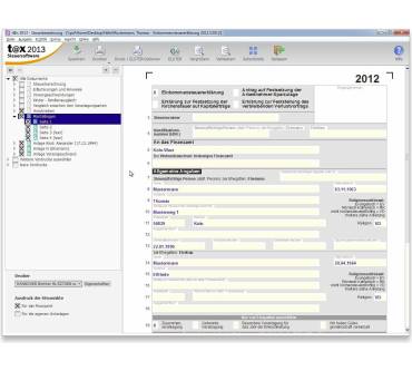 Produktbild Buhl Data T@x 2013 Standard