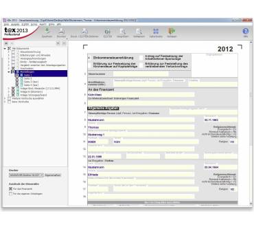 Produktbild Buhl Data t@x 2013 Professional