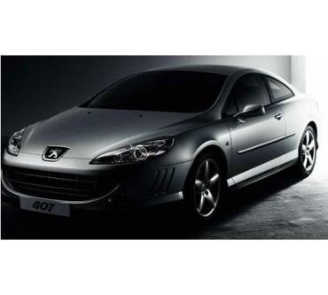 Produktbild Peugeot 407 [04]