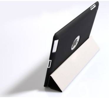 Produktbild Coconut FullBody CEO iPad Case