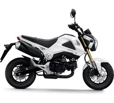 Produktbild Honda MSX 125 (7 kW) [13]