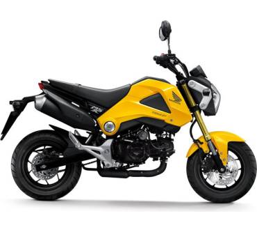 Produktbild Honda MSX 125 (7 kW) [13]