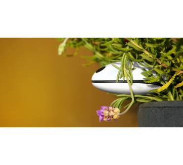 Produktbild Koubachi Wi-Fi Plant Sensor Outdoor