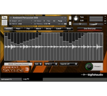 Produktbild Big Fish Audio Ambient Skyline 3