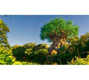 Produktbild Disney World Florida Animal Kingdom Theme Park