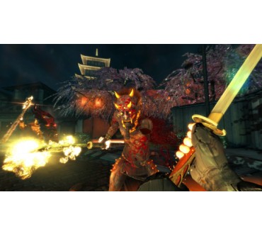 Produktbild Shadow Warrior (für PC)