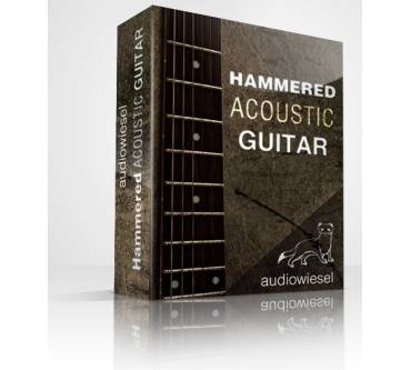 Produktbild audiowiesel Hammered Acoustic Guitar Full Bundle