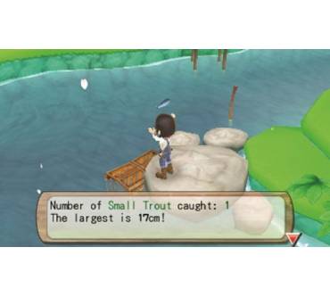 Produktbild Harvest Moon: A New Beginning (für 3DS)