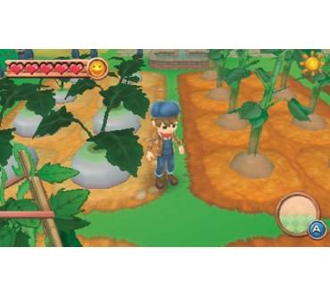 Produktbild Harvest Moon: A New Beginning (für 3DS)