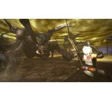 Produktbild Toukiden: The Age of Demons (für PS Vita)