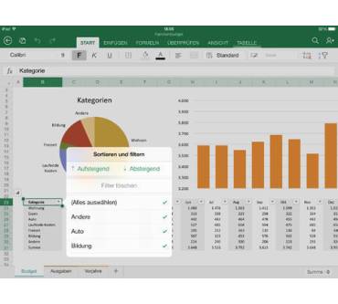 Produktbild Microsoft Excel