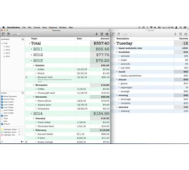 Produktbild Omni Group OmniOutliner 4