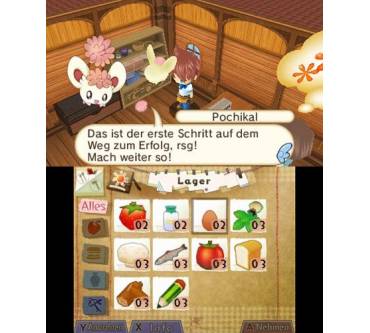 Produktbild Hometown Story (für 3DS)