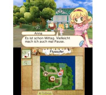 Produktbild Hometown Story (für 3DS)