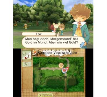 Produktbild Hometown Story (für 3DS)