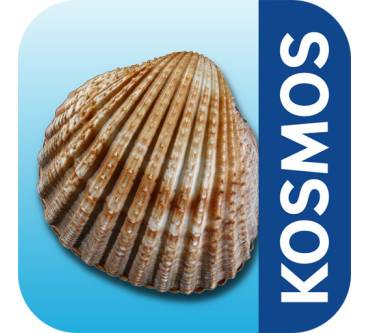 Produktbild Kosmos Muscheln und Schnecken sicher bestimmen 1.0