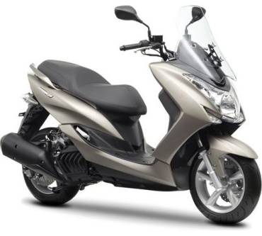 Produktbild Yamaha Majesty S (9 kW) [14]