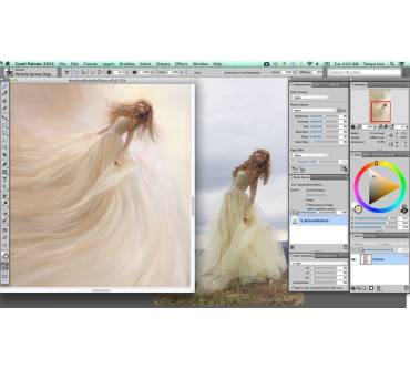 Produktbild Corel Painter 2015