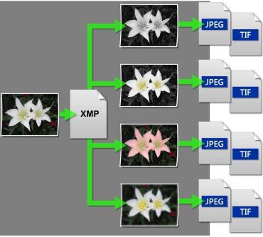 Produktbild Corel AfterShot Pro 2