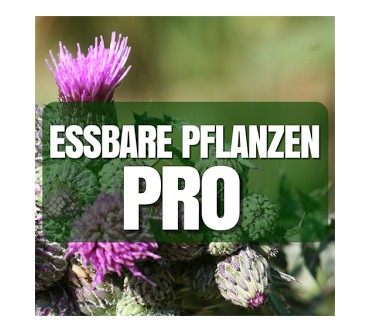 Produktbild Lars Konarek Essbare Pflanzen Pro