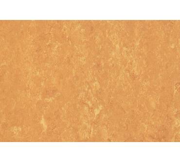 Produktbild Corpet Cork LinoColor, Terracotta (Farbton 28)