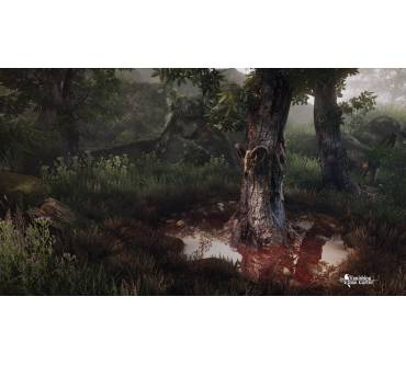 Produktbild The Vanishing of Ethan Carter