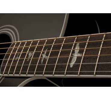 Produktbild PRS Guitars SE A10E